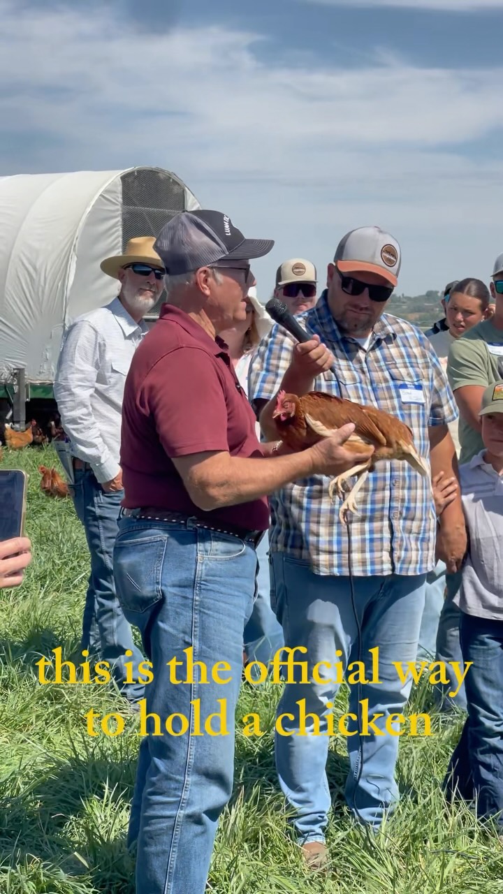 Demonstrating the correct way to hold a chicken