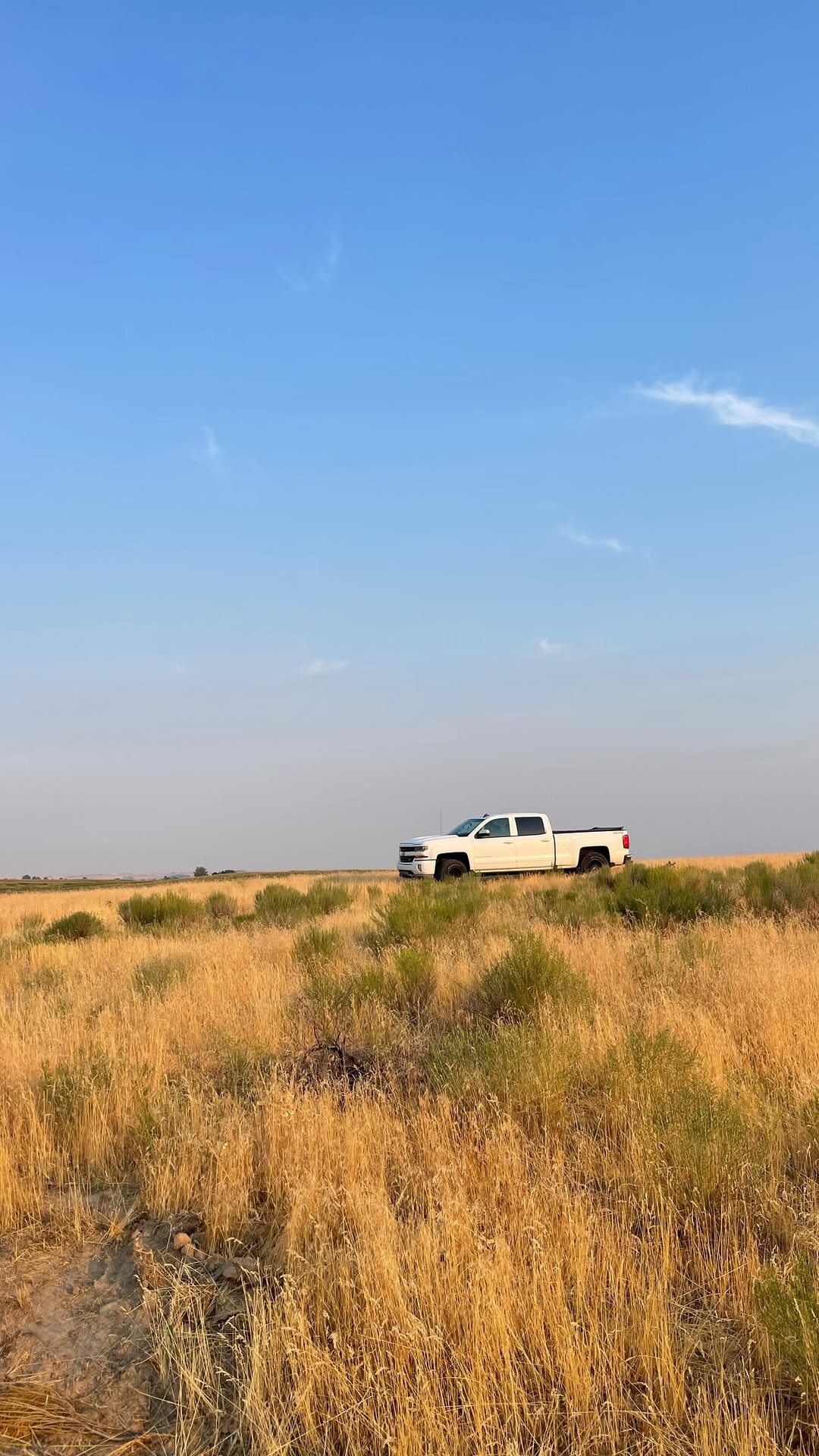 Truck parked in an Idaho field at golden hour